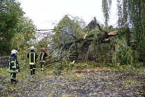 Bild: In der Bolzenbergstraße begrub ein größerer Baum zwei geparkte Fahrzeuge