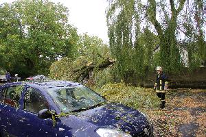 Bild: In der Bolzenbergstraße begrub ein größerer Baum zwei geparkte Fahrzeuge