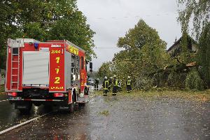 Bild: In der Bolzenbergstraße begrub ein größerer Baum zwei geparkte Fahrzeuge