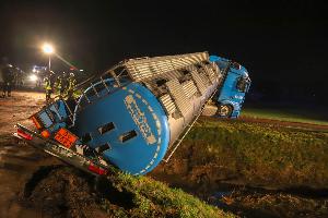 Bild: (Foto: Carsten Klein)