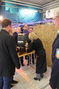 Bild: Impressionen vom Tag der offenen Tür im Löschbezirk Eppelborn