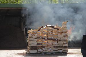 Bild: Impressionen vom Tag der offenen Tür im Löschbezirk Eppelborn