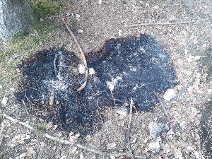 Bild: Erneut brannte es im Bereich der Wassertretanlage in Dirmingen