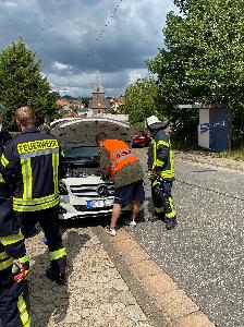Bild: Mit Hilfe eines Schlangenhalters wurde das Fahrzeug durchsucht, nachdem der Fahrzeugführer eine Schlange im Fahrzeuginneren bemerkte.