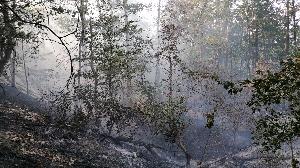 Bild: Großer Vegetationsbrand auf einer Bergehalde bei Wiebelskirchen
