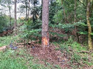 Bild: Verkehrsunfall auf der Landstraße bei Wiesbach