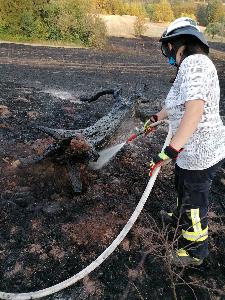 Bild: Großer Flächenbrand bei Lautenbach