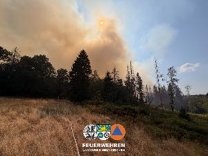 Bild: Waldbrand im Hosterwald: 78 Stunden gemeinsam gegen die Flammen
