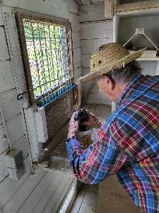 Bild: Feuerwehr rettet Taube von Dach