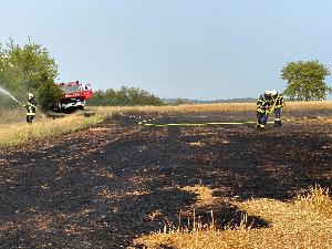 Bild: Stoppelfeld brannte im Ortsteil Wiesbach