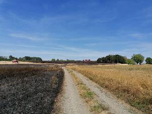 Bild: Großer Flächenbrand bei Lautenbach