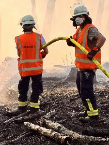 Bild: Feuerwehr Eppelborn unterstützte bei großem Waldbrand bei Ottweiler