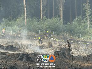 Bild: Waldbrand im Hosterwald: 78 Stunden gemeinsam gegen die Flammen