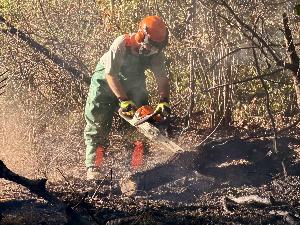 Bild: Vegetationsbrand zwischen Dirmingen und Berschweiler