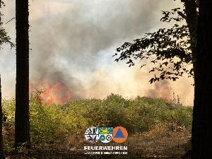 Bild: Waldbrand im Hosterwald: 78 Stunden gemeinsam gegen die Flammen