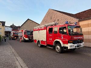Bild: