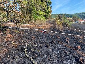 Bild: Großer Flächenbrand bei Lautenbach