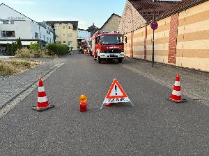 Bild: