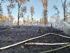 Bild: Feuerwehr Eppelborn unterstützte bei großem Waldbrand bei Ottweiler
