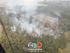 Bild: Waldbrand im Hosterwald: 78 Stunden gemeinsam gegen die Flammen