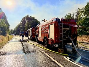 Bild: Feuerwehr Eppelborn unterstützte bei großem Waldbrand bei Ottweiler