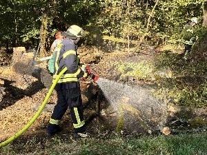 Bild: Vegetationsbrand zwischen Dirmingen und Berschweiler