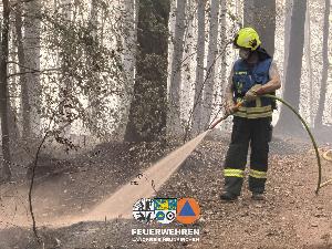 Bild: Waldbrand im Hosterwald: 78 Stunden gemeinsam gegen die Flammen