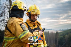 Bild: Waldbrand im Hosterwald: 78 Stunden gemeinsam gegen die Flammen