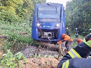 Bild: Umgestürzte Bäume auf der Bahnstrecke zwischen Bubach-Calmesweiler und Eppelborn