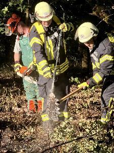 Bild: Vegetationsbrand zwischen Dirmingen und Berschweiler
