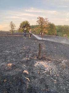 Bild: Großer Flächenbrand bei Lautenbach