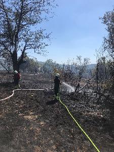 Bild: Großer Flächenbrand bei Lautenbach