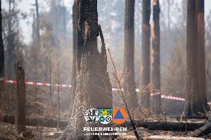 Bild: Waldbrand im Hosterwald: 78 Stunden gemeinsam gegen die Flammen