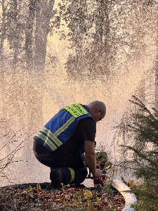 Bild: Feuerwehr Eppelborn unterstützte bei großem Waldbrand bei Ottweiler
