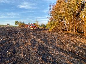 Bild: Großer Flächenbrand bei Lautenbach