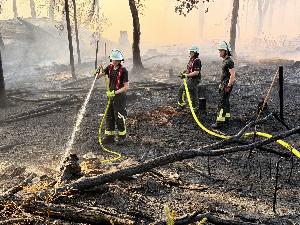 Bild: Feuerwehr Eppelborn unterstützte bei großem Waldbrand bei Ottweiler