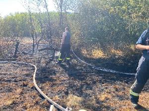 Bild: Großer Flächenbrand bei Lautenbach