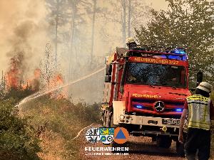Bild: Waldbrand im Hosterwald: 78 Stunden gemeinsam gegen die Flammen