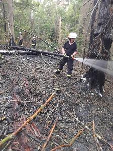 Bild: Großer Waldbrand auf dem Kleinen Hirschberg bei Neunkirchen-Kohlhof
