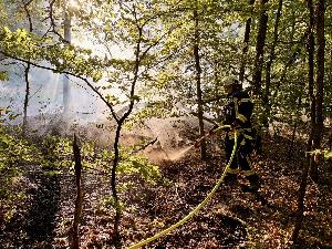 Bild: Vegetationsbrand zwischen Dirmingen und Berschweiler