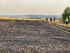 Bild: Stoppelfeld brannte im Ortsteil Wiesbach