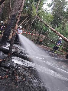 Bild: Großer Waldbrand auf dem Kleinen Hirschberg bei Neunkirchen-Kohlhof