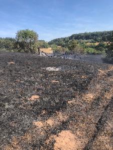 Bild: Großer Flächenbrand bei Lautenbach