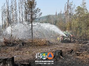Bild: Waldbrand im Hosterwald: 78 Stunden gemeinsam gegen die Flammen