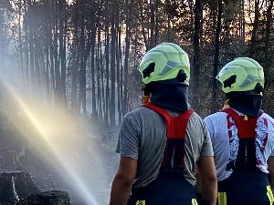 Bild: Feuerwehr Eppelborn unterstützte bei großem Waldbrand bei Ottweiler