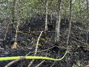 Bild: Großer Vegetationsbrand auf einer Bergehalde bei Wiebelskirchen (Foto: Andreas Kuhn - Landkreis Neunkirchen)