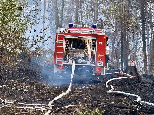Bild: Feuerwehr Eppelborn unterstützte bei großem Waldbrand bei Ottweiler