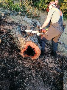 Bild: Großer Flächenbrand bei Lautenbach