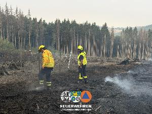 Bild: Waldbrand im Hosterwald: 78 Stunden gemeinsam gegen die Flammen