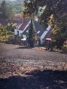Bild: Großer Flächenbrand bei Lautenbach